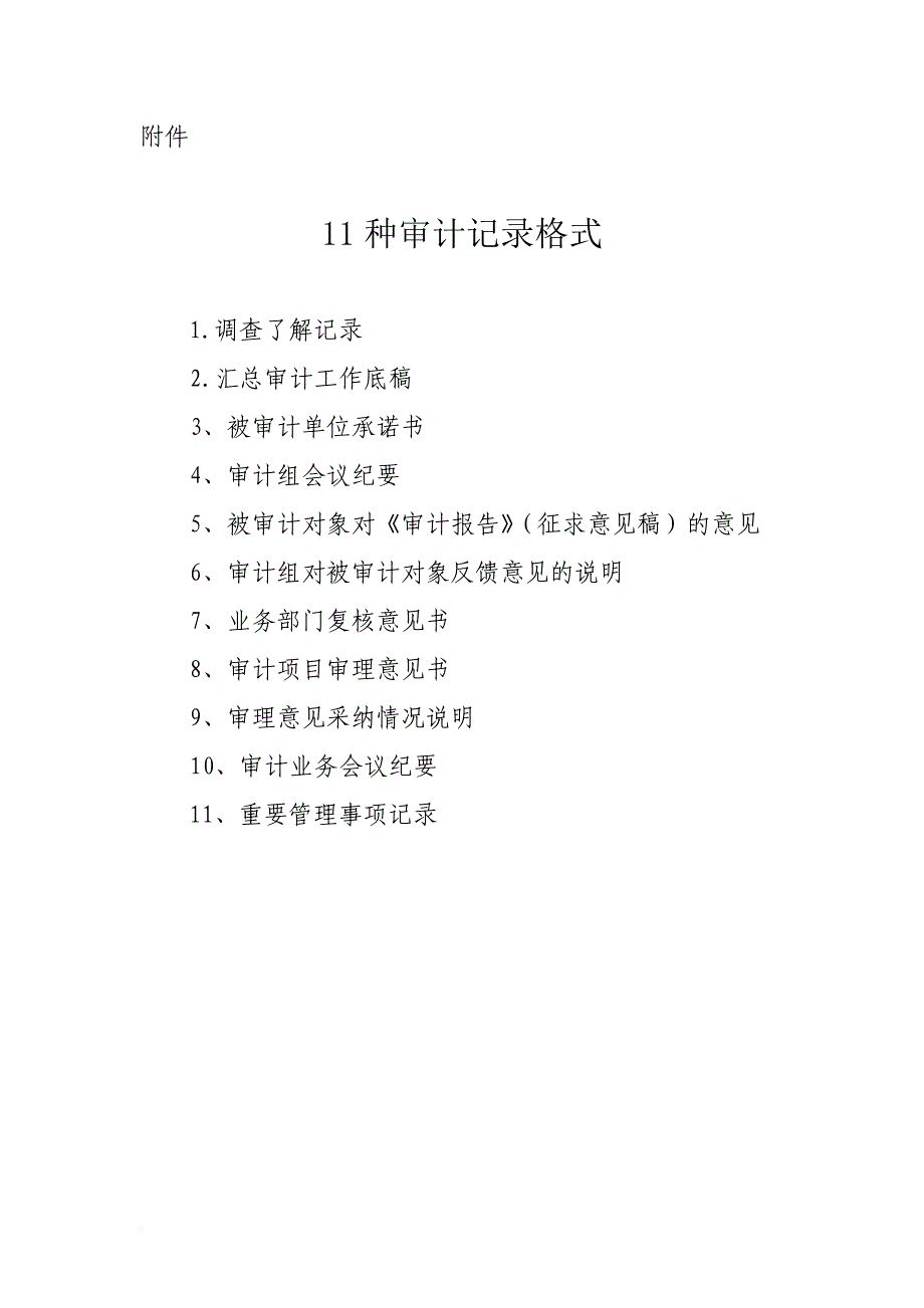 政府审计11种审计记录格式_第1页