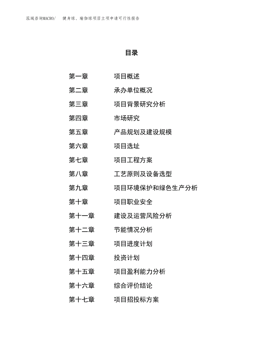 健身球、瑜伽球项目立项申请可行性报告_第1页