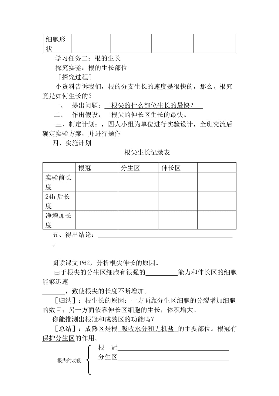 植物根的生长-教案_第3页