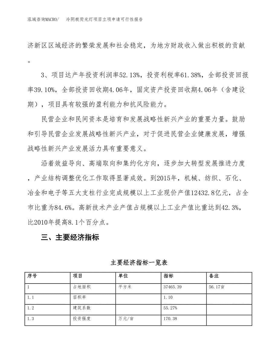 冷阴极荧光灯项目立项申请可行性报告_第5页