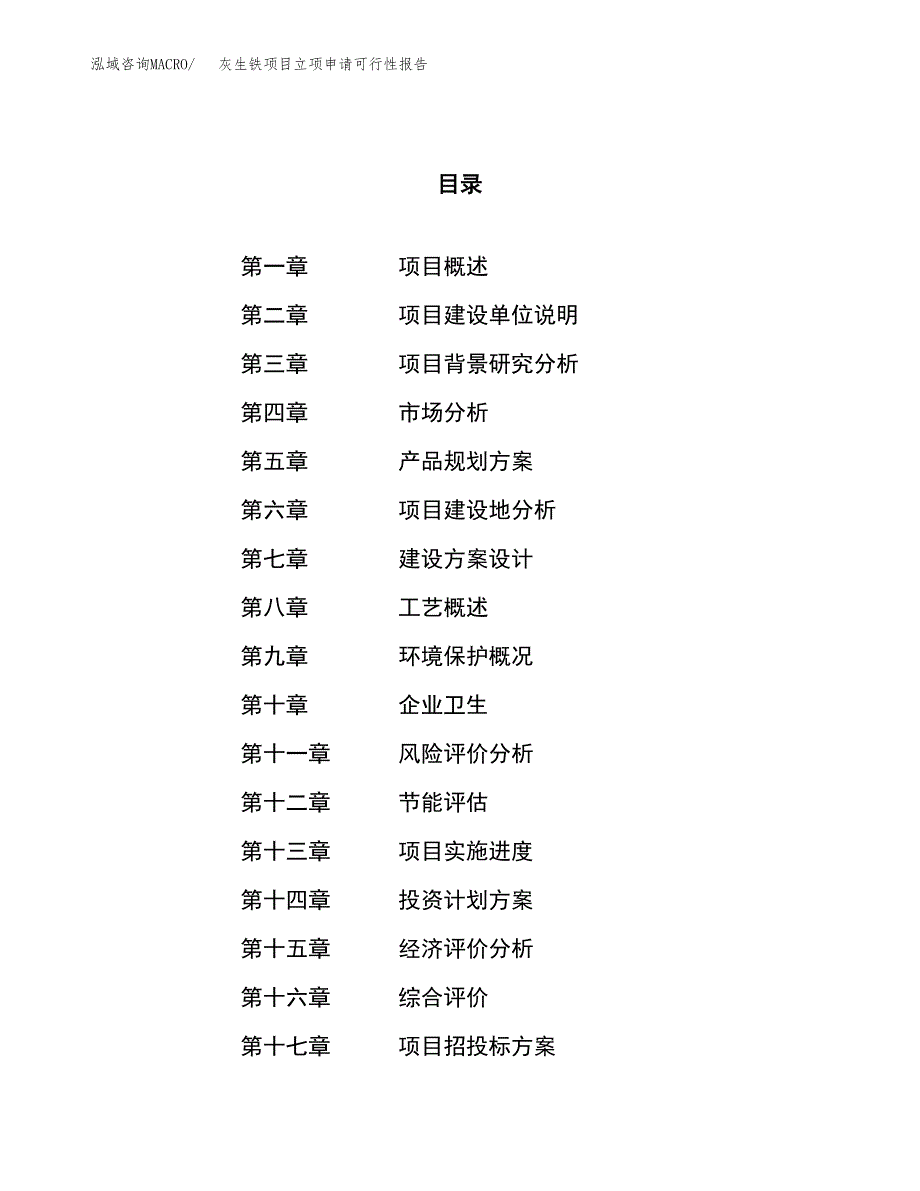 灰生铁项目立项申请可行性报告_第1页