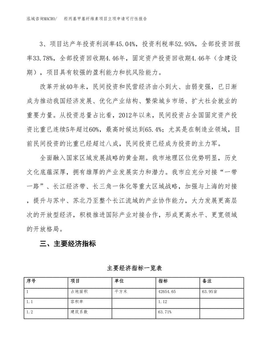 羟丙基甲基纤维素项目立项申请可行性报告_第5页