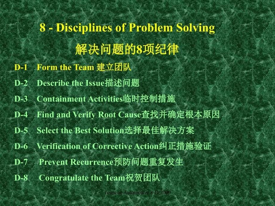 8D培训-解决问题的8个原则_第5页