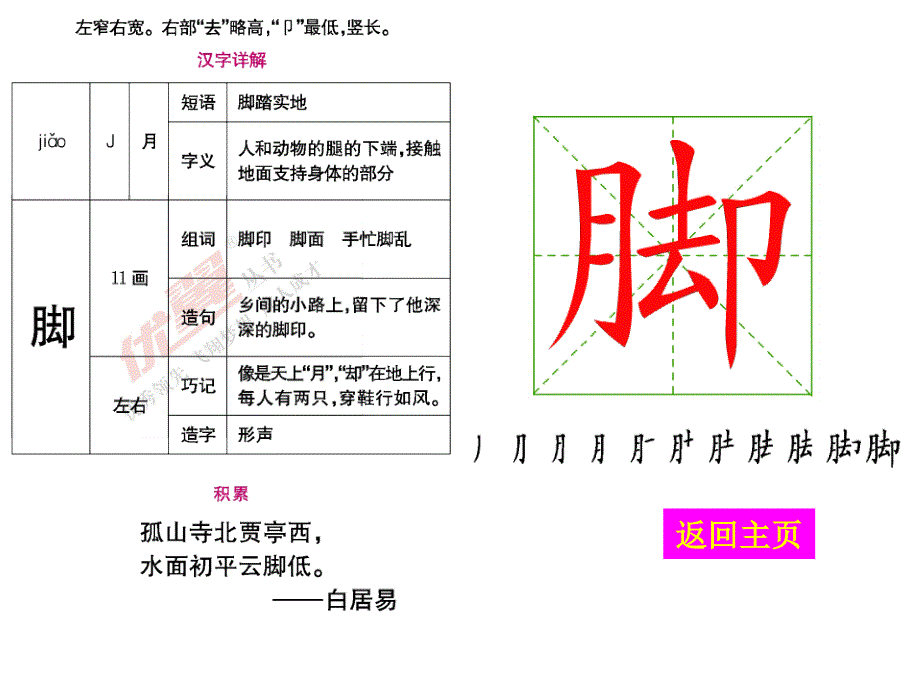 (生字教学课件)植物妈妈有办法_第4页