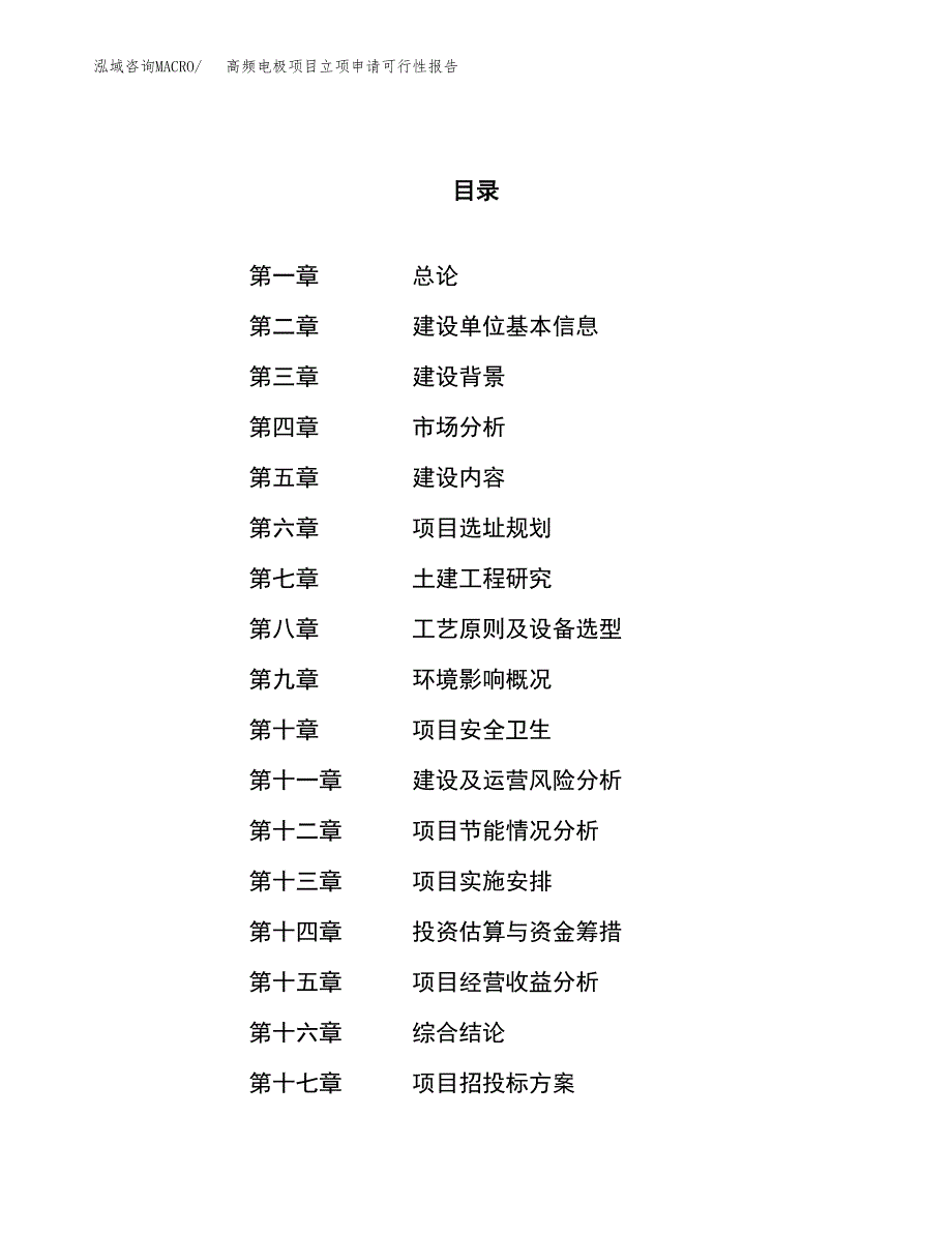 高频电极项目立项申请可行性报告_第1页