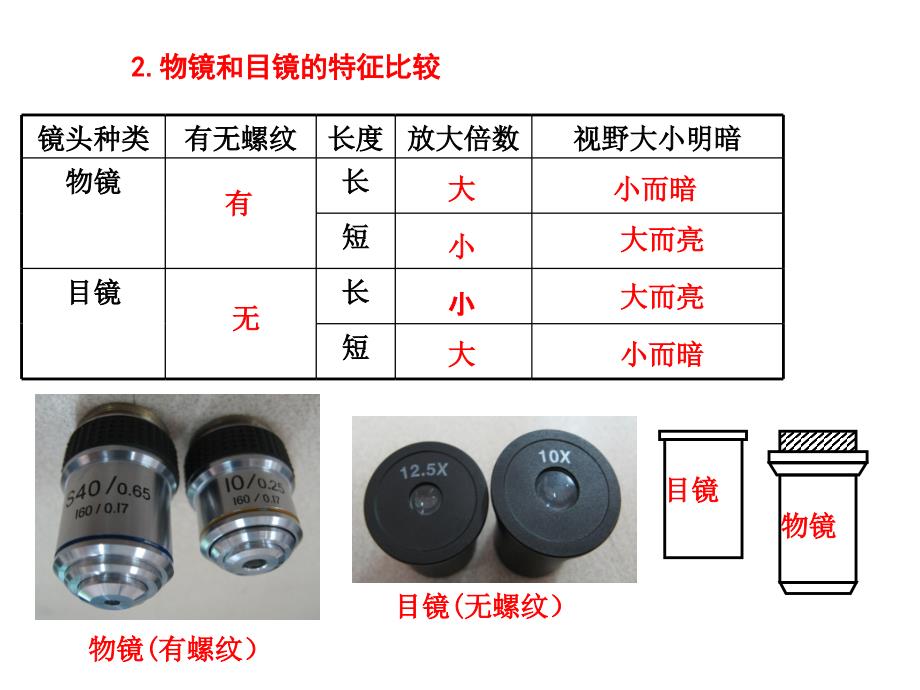 1-2细胞的多样性和统一性公开课课件)资料_第3页