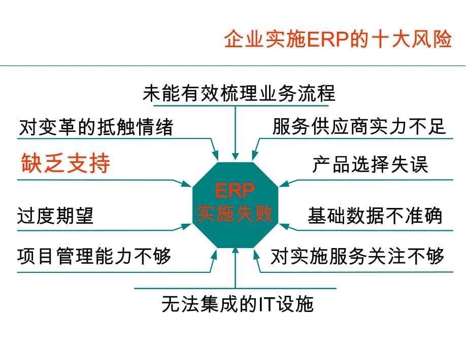 企业实施erp的十大风险_第5页