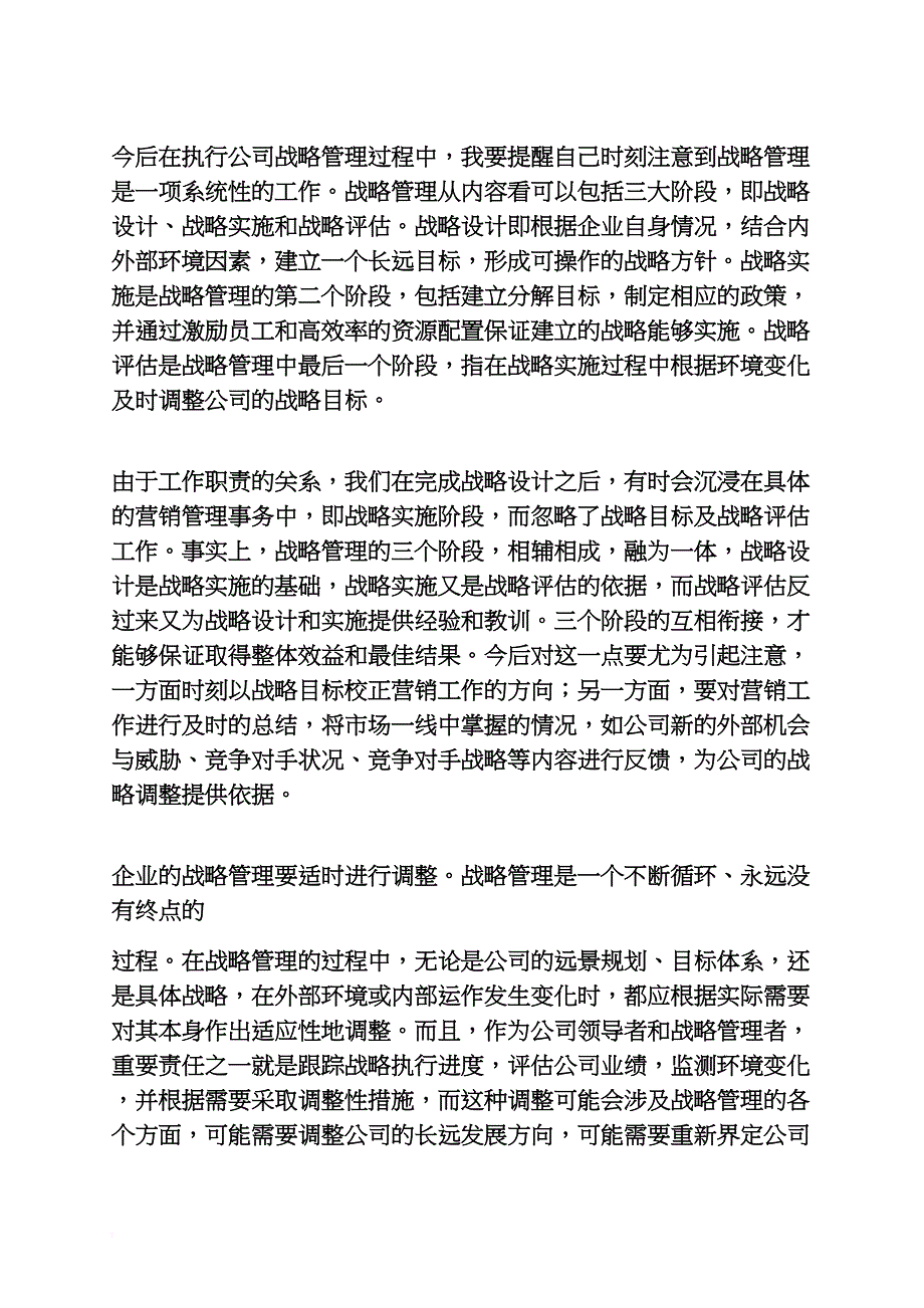 战略管理读书心得体会_第3页