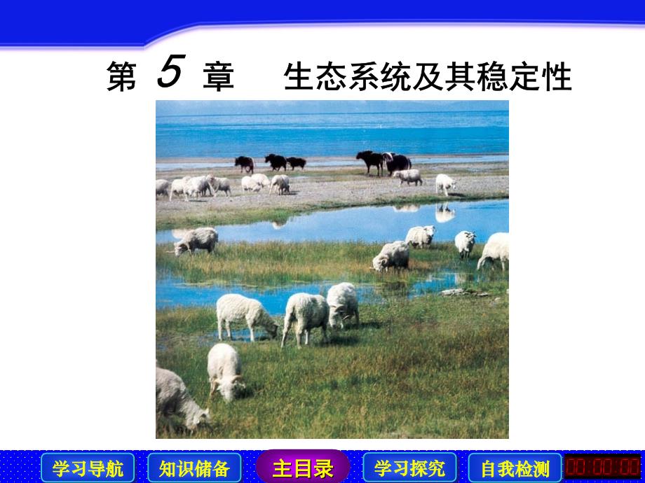 高中生物必修三 生态系统的能量流动精品课件)资料_第2页