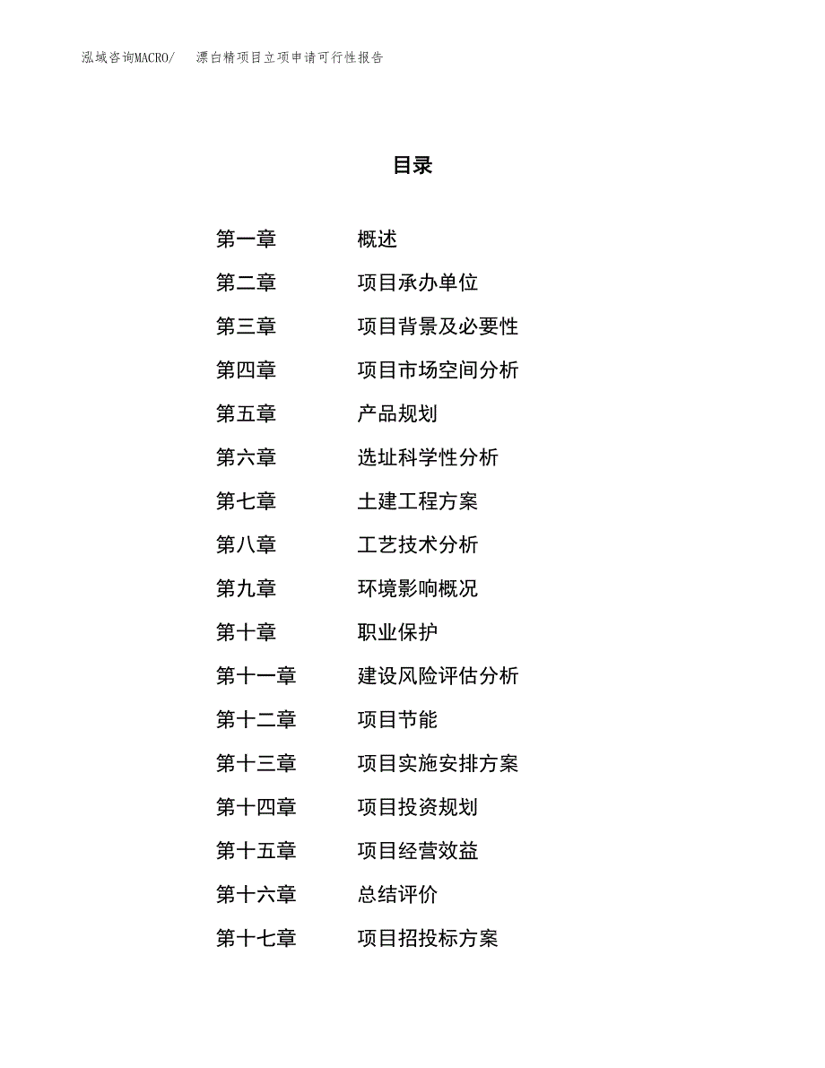 漂白精项目立项申请可行性报告_第1页