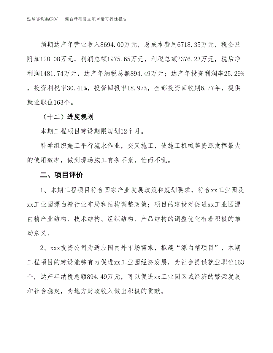 漂白精项目立项申请可行性报告_第4页