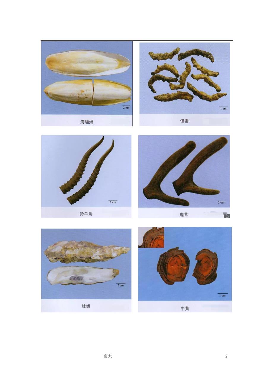 2018年执业药师考试最新常用中药彩色配图资料_第2页