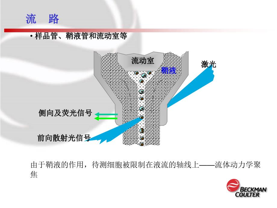 10色方案抗体组合设计资料_第3页