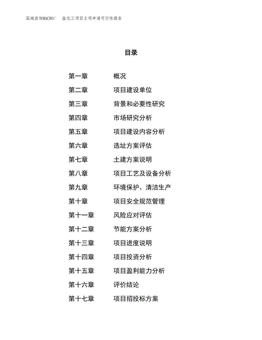 盐化工项目立项申请可行性报告_第1页