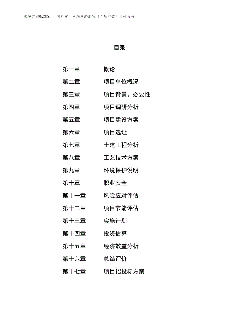 自行车、电动车轮胎项目立项申请可行性报告_第1页