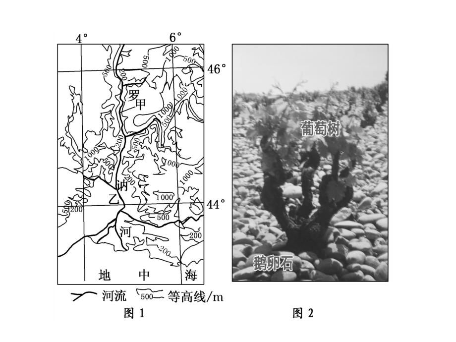 《农业部分高考题精练资料_第3页