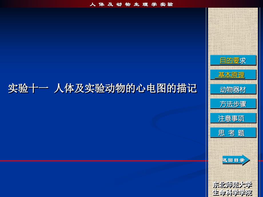 人体及动物生理学实验课件下)资料_第4页