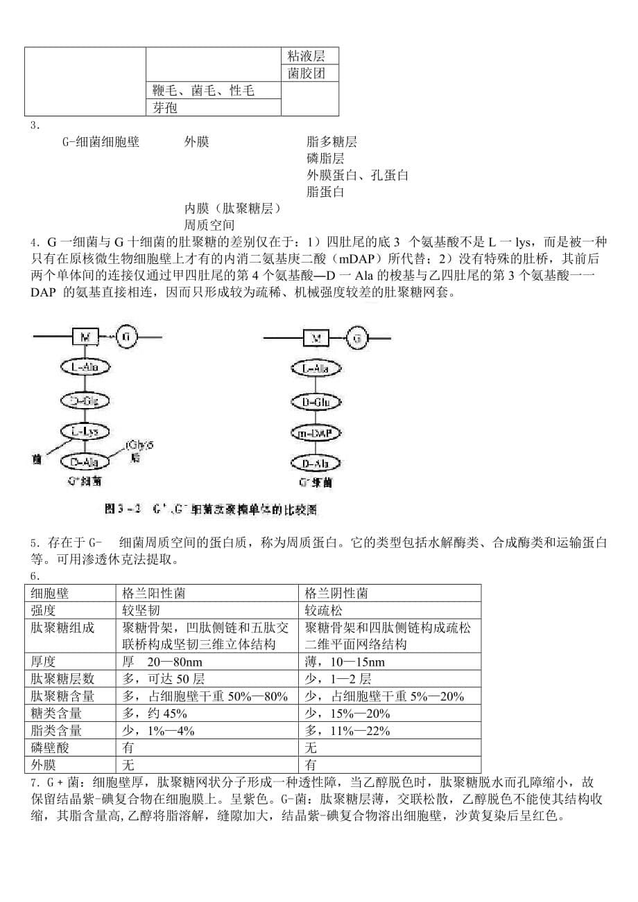 第1章原核微生物习题_第5页