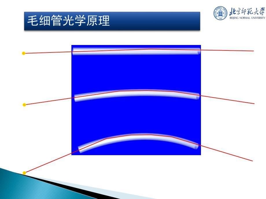 毛细管x射线光学器件_第5页