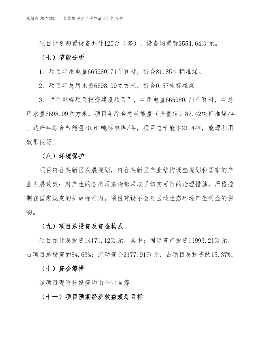 显影辊项目立项申请可行性报告_第3页