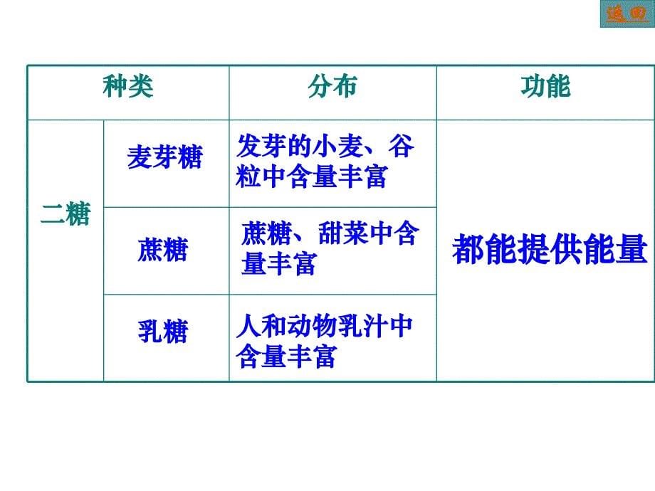 糖类和脂质表格_第5页