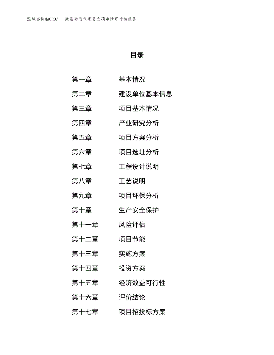 致密砂岩气项目立项申请可行性报告_第1页