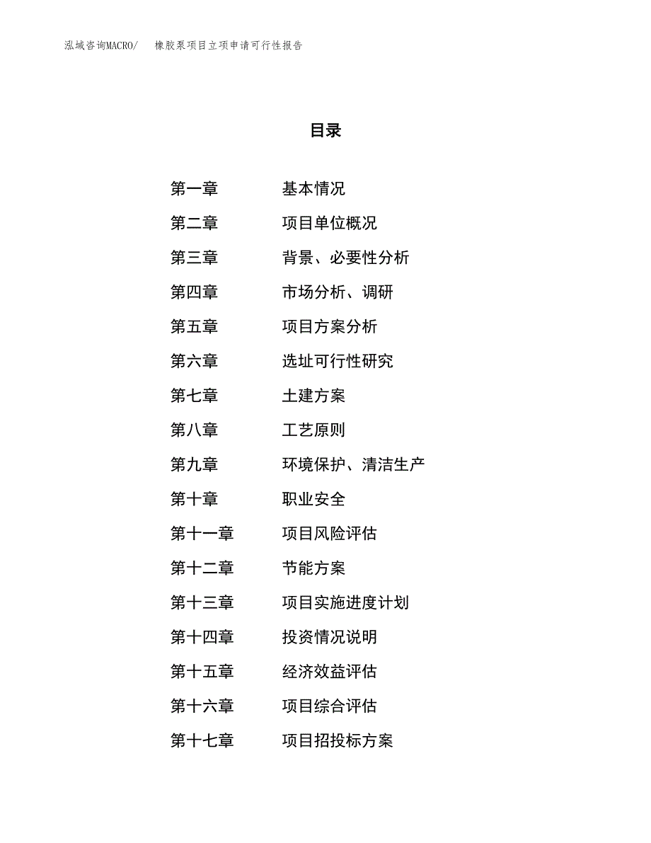 橡胶泵项目立项申请可行性报告_第1页