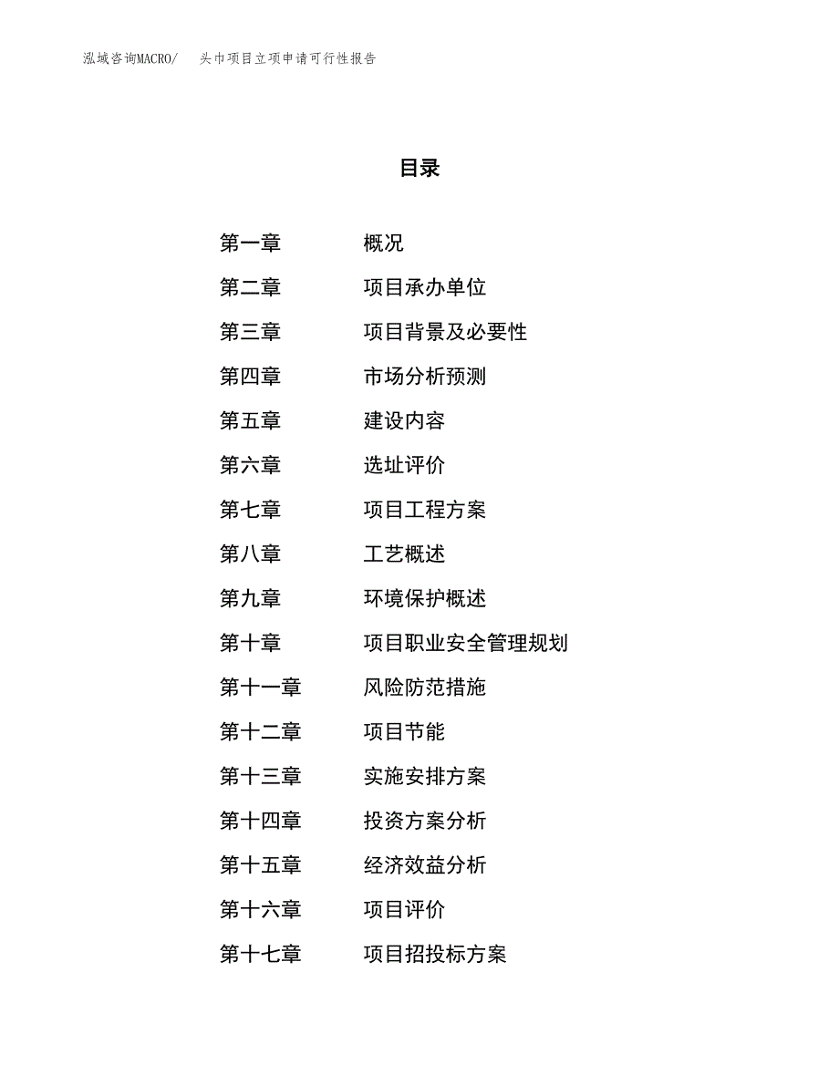 头巾项目立项申请可行性报告_第1页