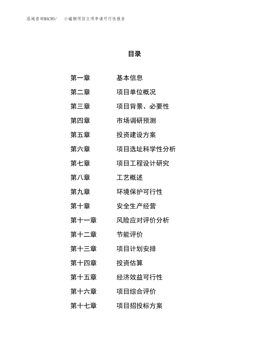 小磁铜项目立项申请可行性报告_第1页