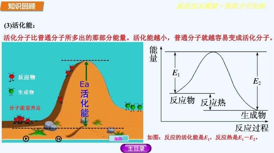 《2-2 影响化学反应速率的因素》 课件1_第5页