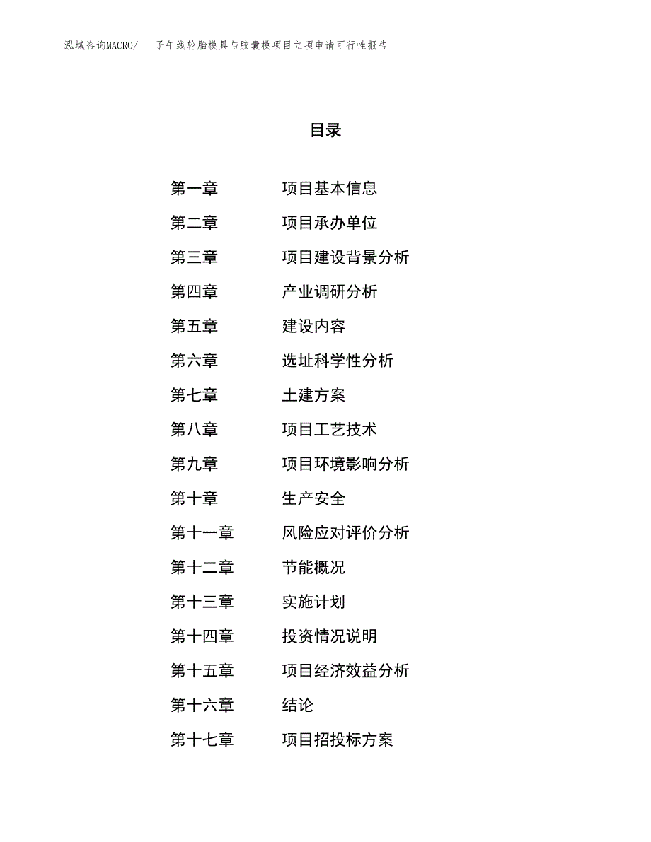 子午线轮胎模具与胶囊模项目立项申请可行性报告_第1页