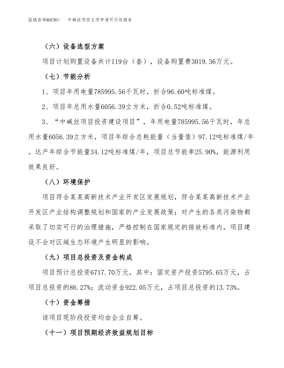 中碱丝项目立项申请可行性报告_第3页