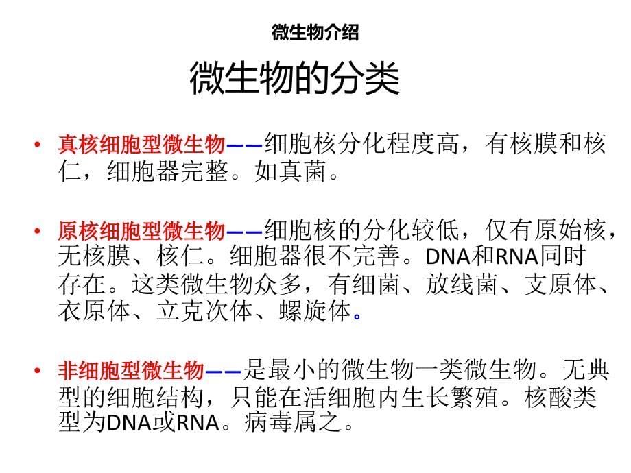 《食品微生物检测》_第5页