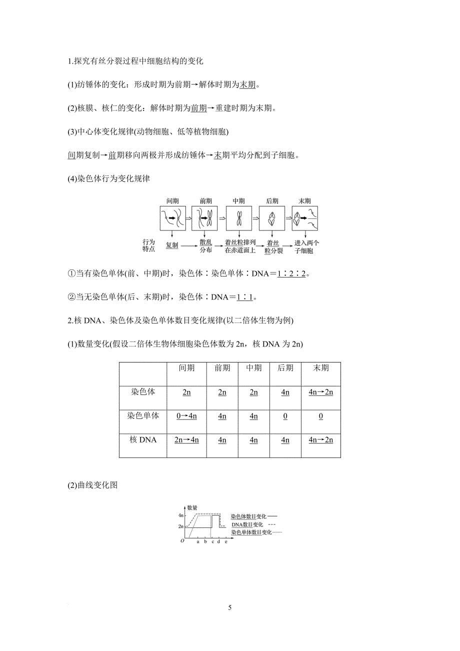 第10讲-细胞的增殖_第5页