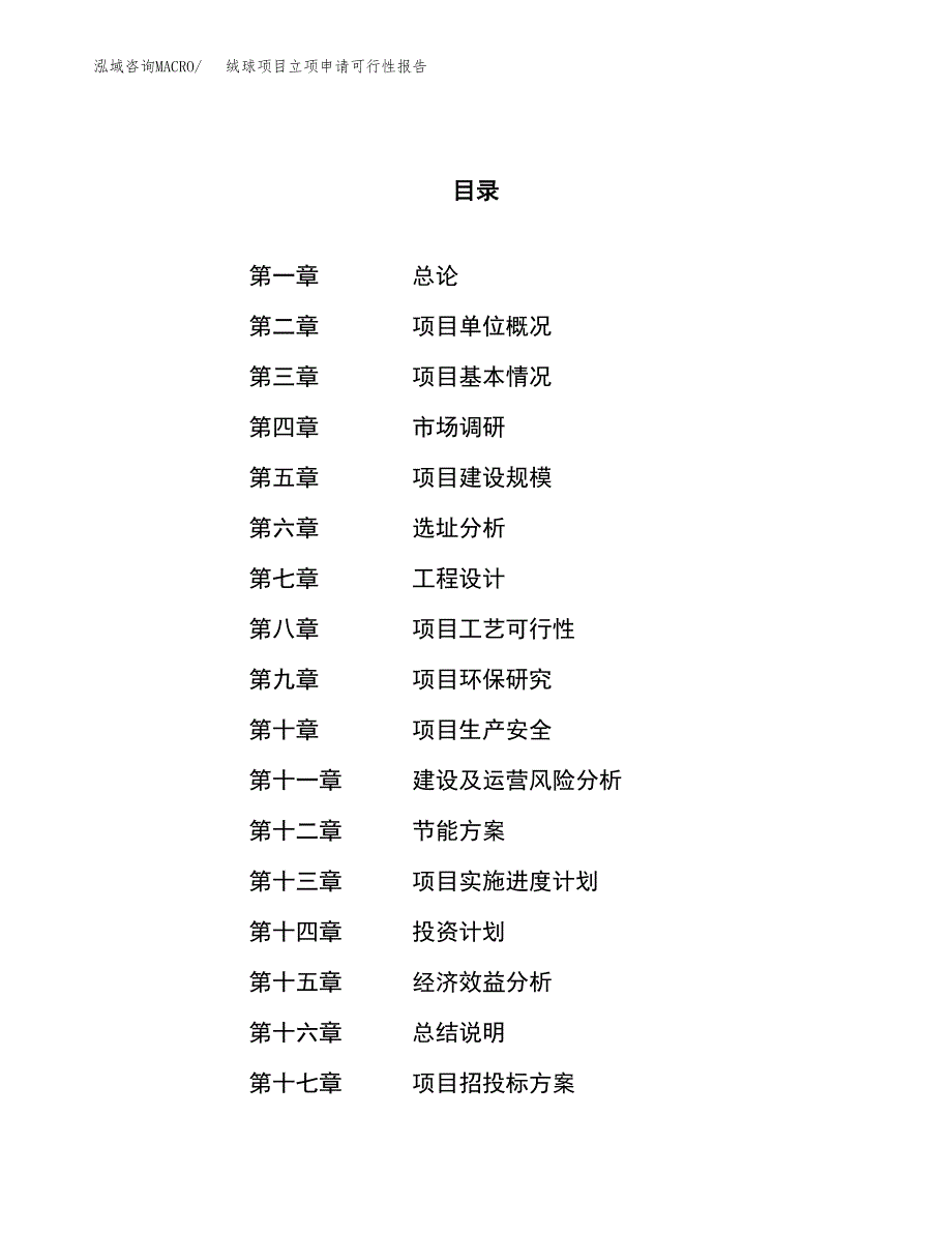 绒球项目立项申请可行性报告_第1页