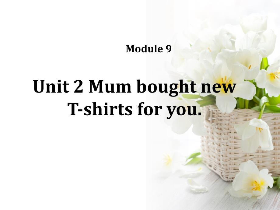 module 9 unit 2 mum bought new t-shirts for you 课件1_第1页