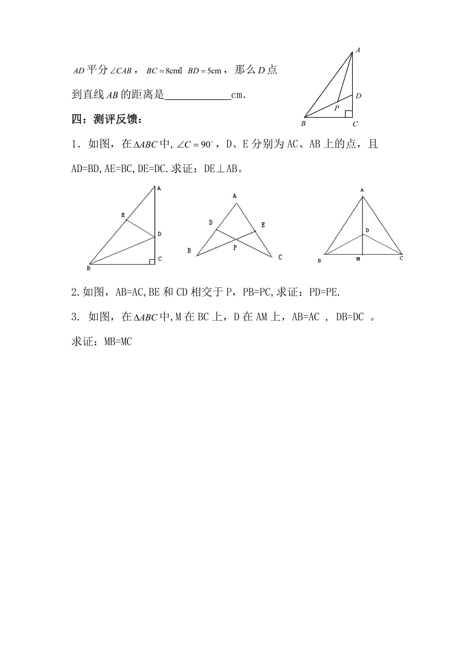 数学人教版八年级上册三角形全等复习课_第3页