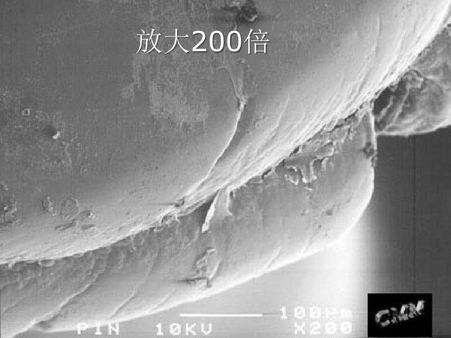 八年级生物上册第四章第一节细菌和真菌的分布资料_第4页