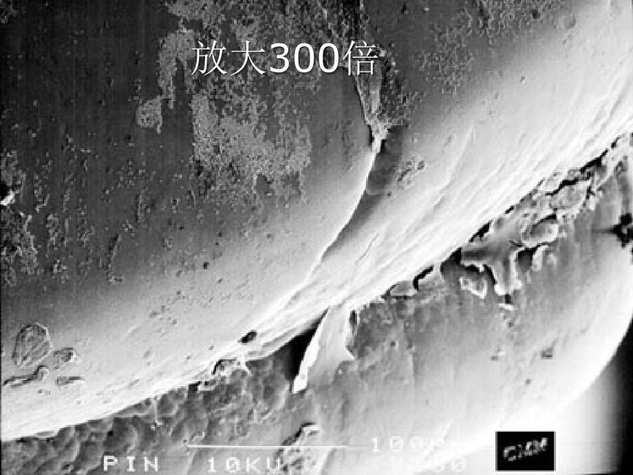 八年级生物上册第四章第一节细菌和真菌的分布资料_第5页