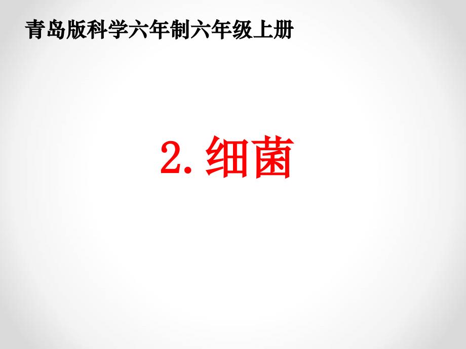 青岛版科学六年级上册细菌(课件)》_第2页