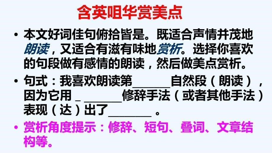 语文人教版七年级上册《安塞腰鼓》_第5页