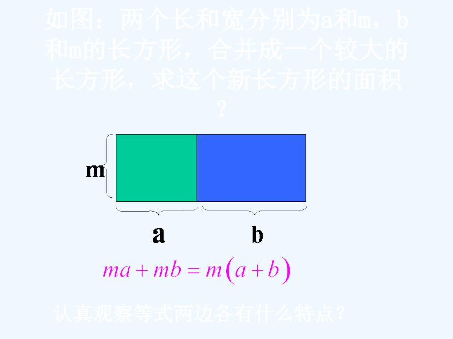 数学北师大版八年级下册因式分解——公因式为单项式的提公因式法_第3页