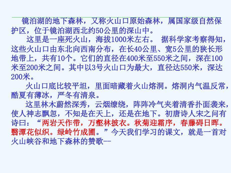 语文人教版九年级下册地下森林断想课件_第2页