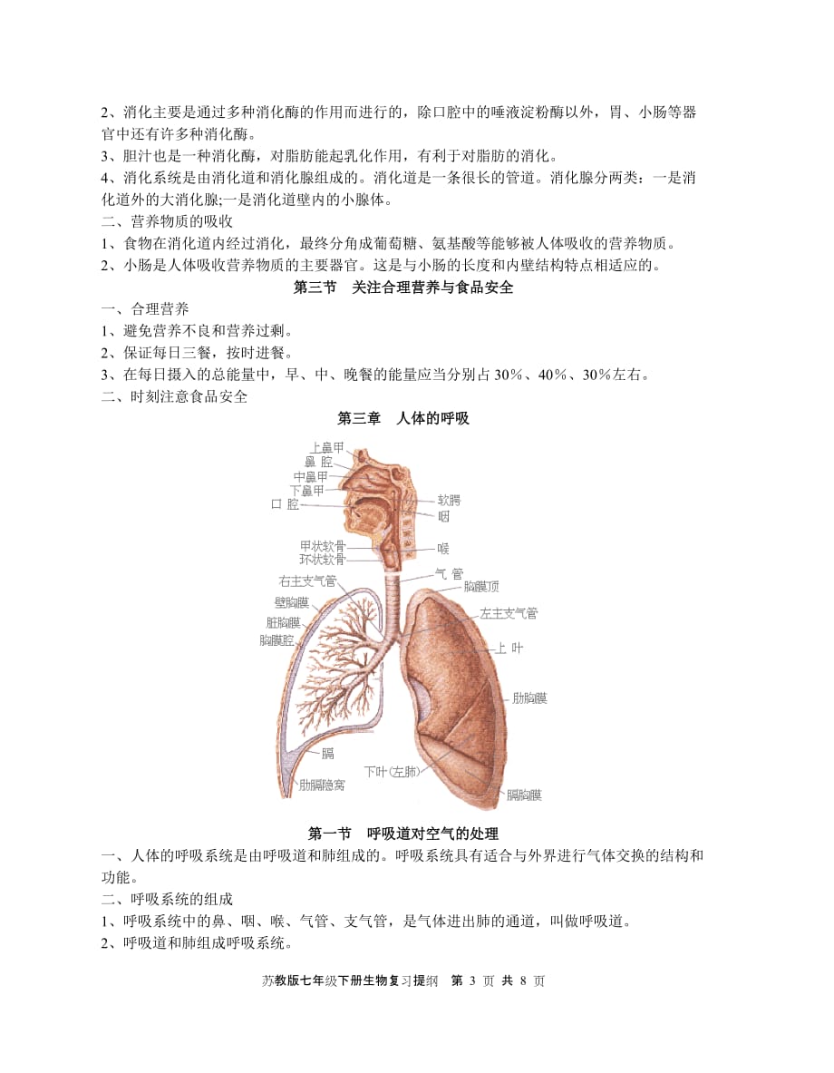 苏教版七年级下册生物复习提纲(同名22802)_第3页