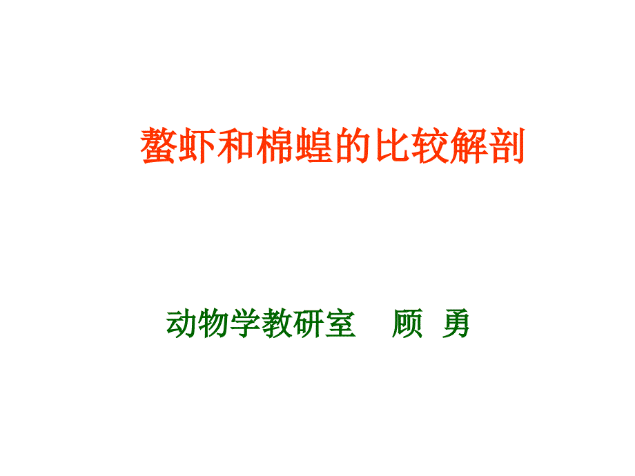 鳌虾和蝗虫比较解剖_第1页