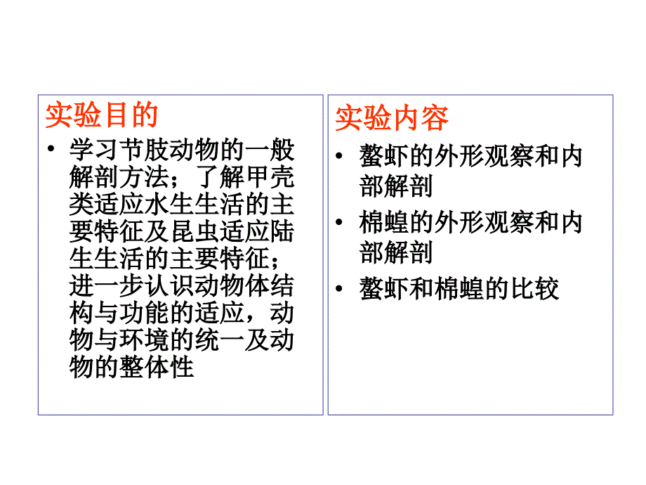 鳌虾和蝗虫比较解剖_第2页