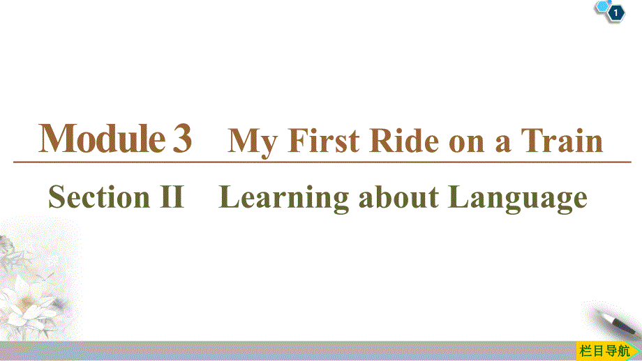 2020同步外研英语必修1新突破（课件+讲义+精练）：Module 3 Section Ⅱ　Learning about Language_第1页