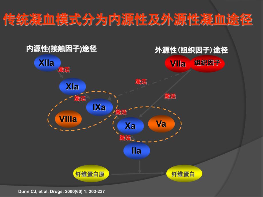 凝血途径及抗凝血剂资料_第3页