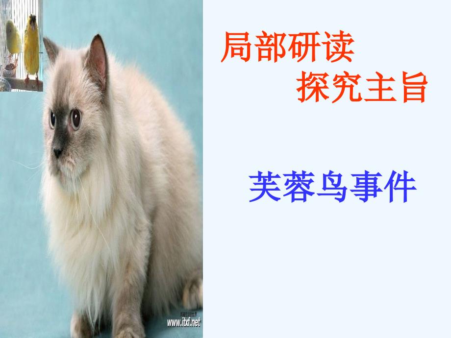 语文人教版七年级下册猫 第二课时_第3页