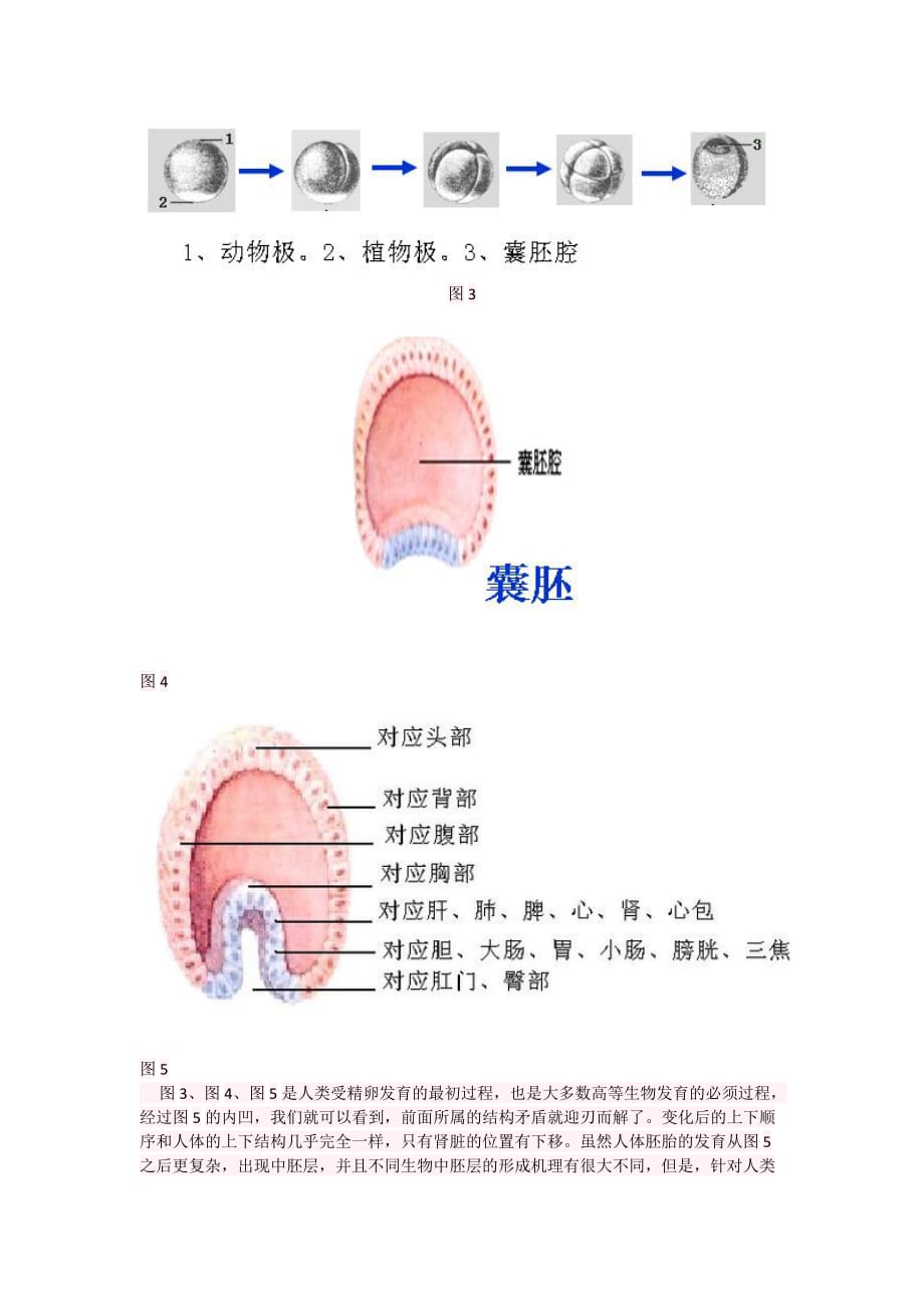 经络起源探究_第4页